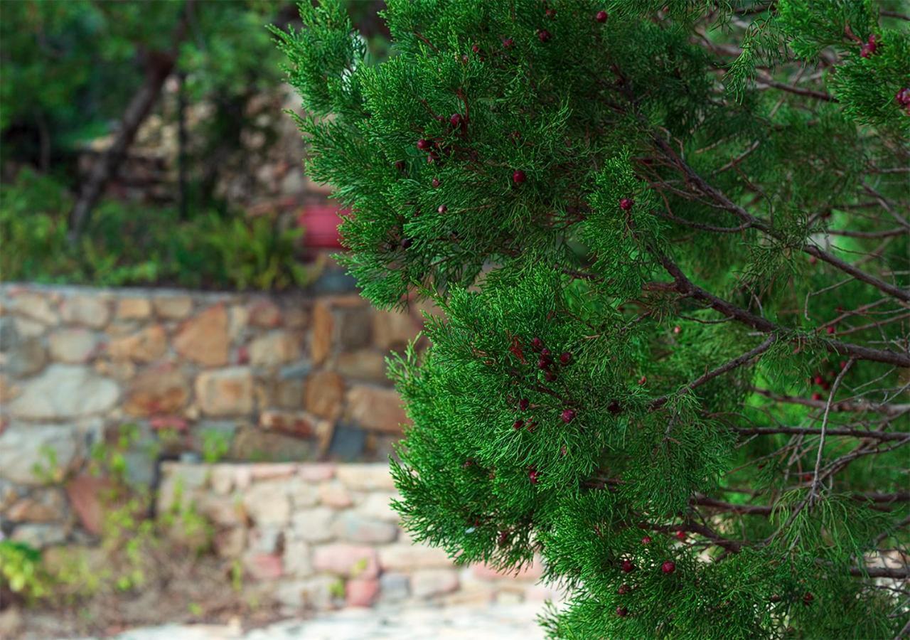 Sa Guardia De Ferricci Bed and Breakfast Solanas  Εξωτερικό φωτογραφία