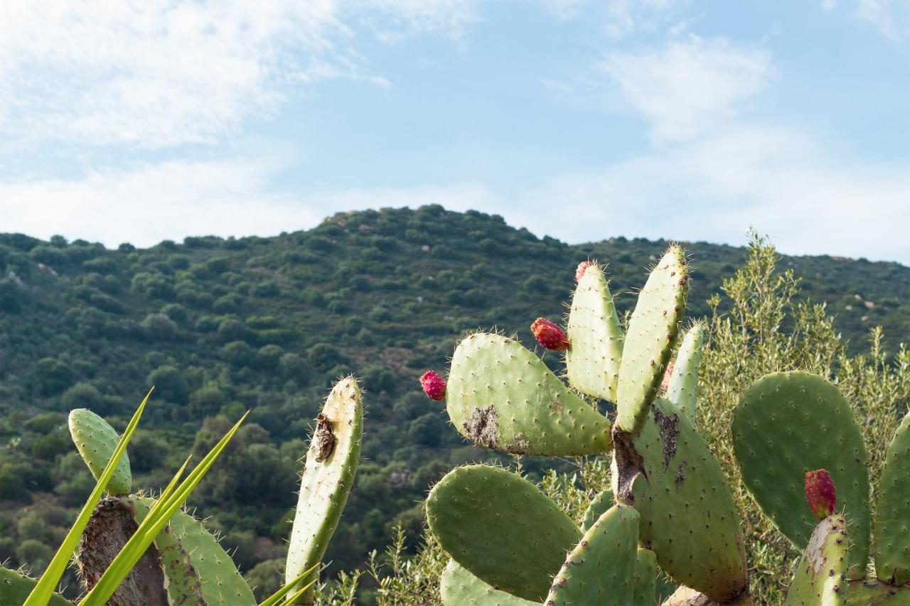 Sa Guardia De Ferricci Bed and Breakfast Solanas  Εξωτερικό φωτογραφία