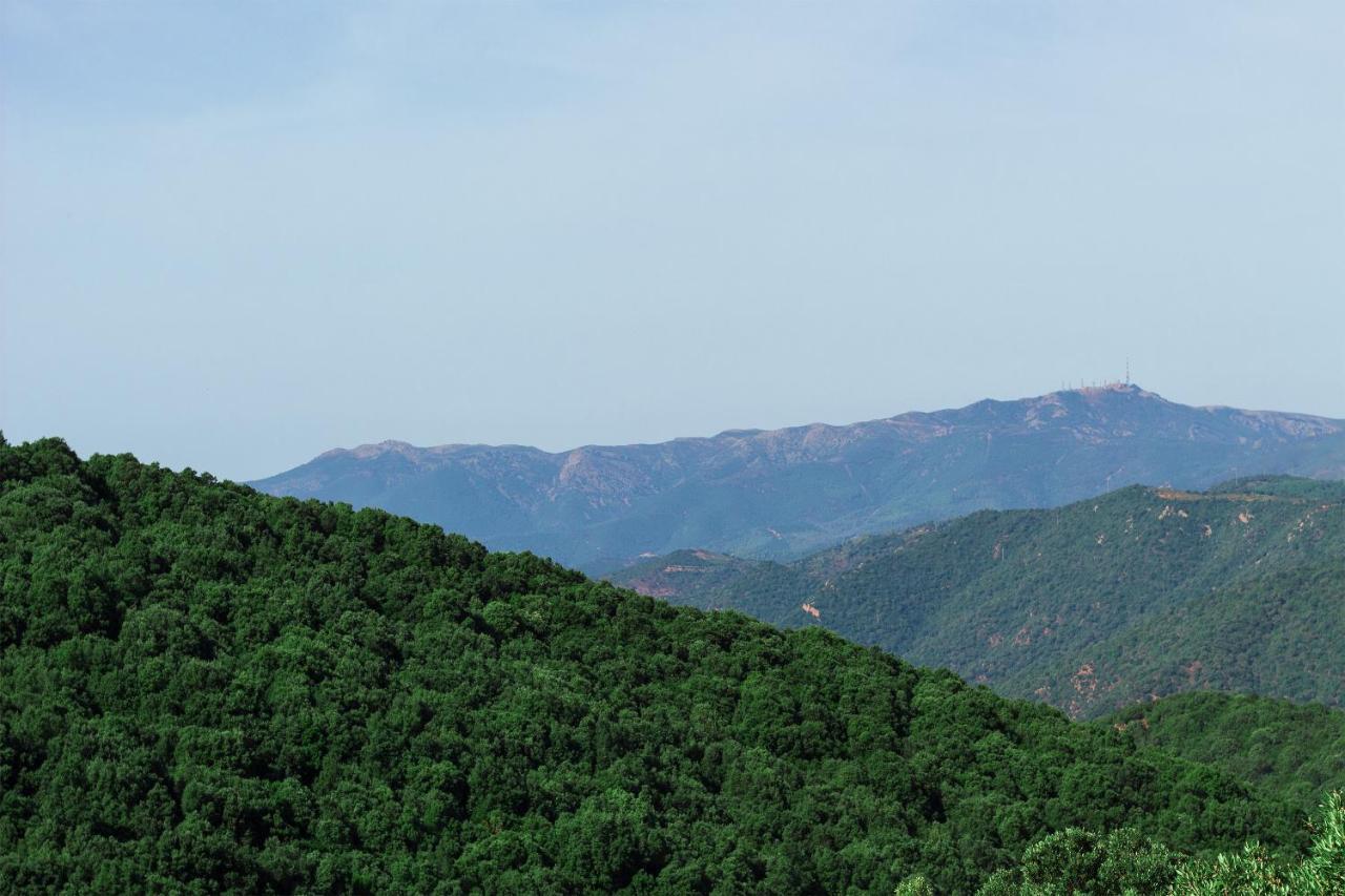Sa Guardia De Ferricci Bed and Breakfast Solanas  Εξωτερικό φωτογραφία